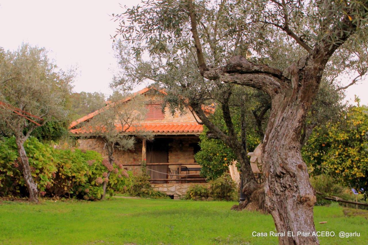Casa Rural El Pilar Acebo Buitenkant foto