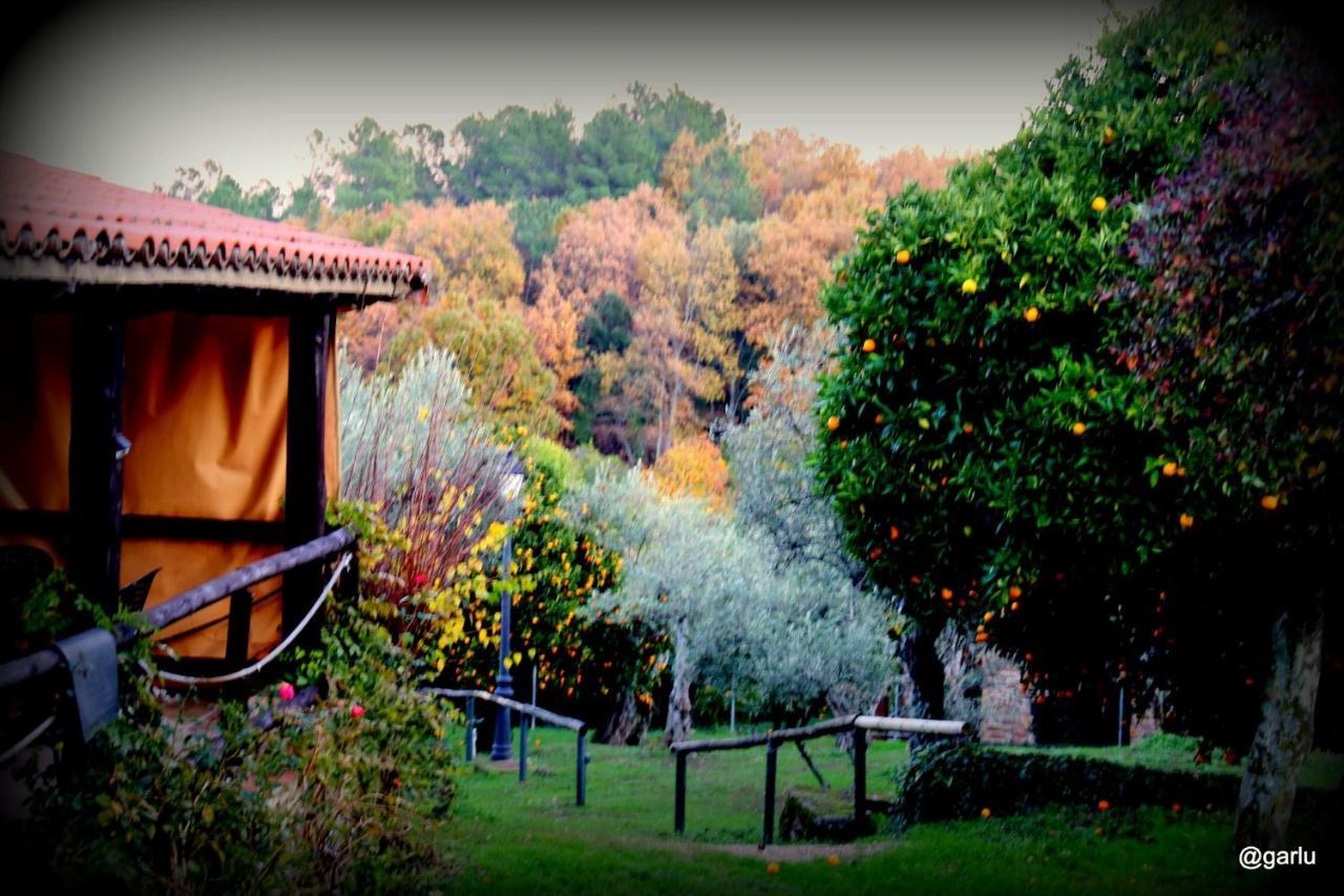 Casa Rural El Pilar Acebo Buitenkant foto